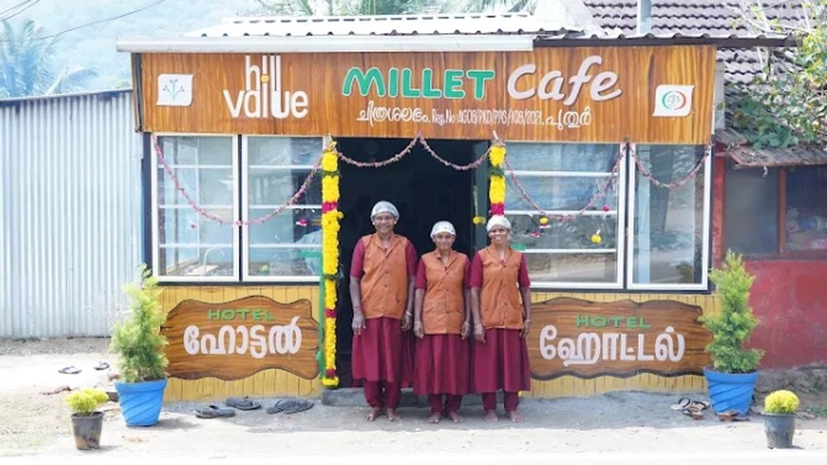 Millet farming is on an expansion mode in Kerala The Hindu